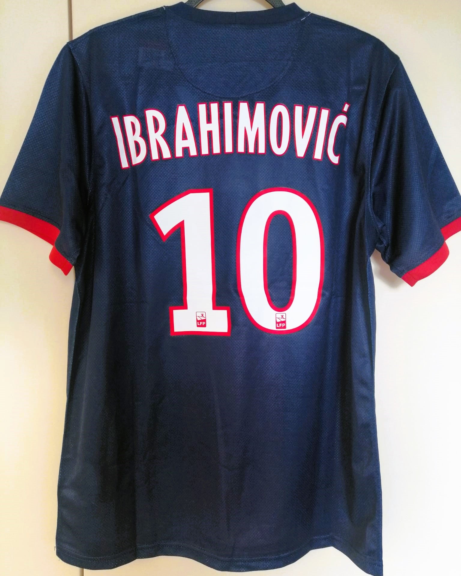 ZLATAN IBRAHIMOVIC 2013-14 (PSG) 