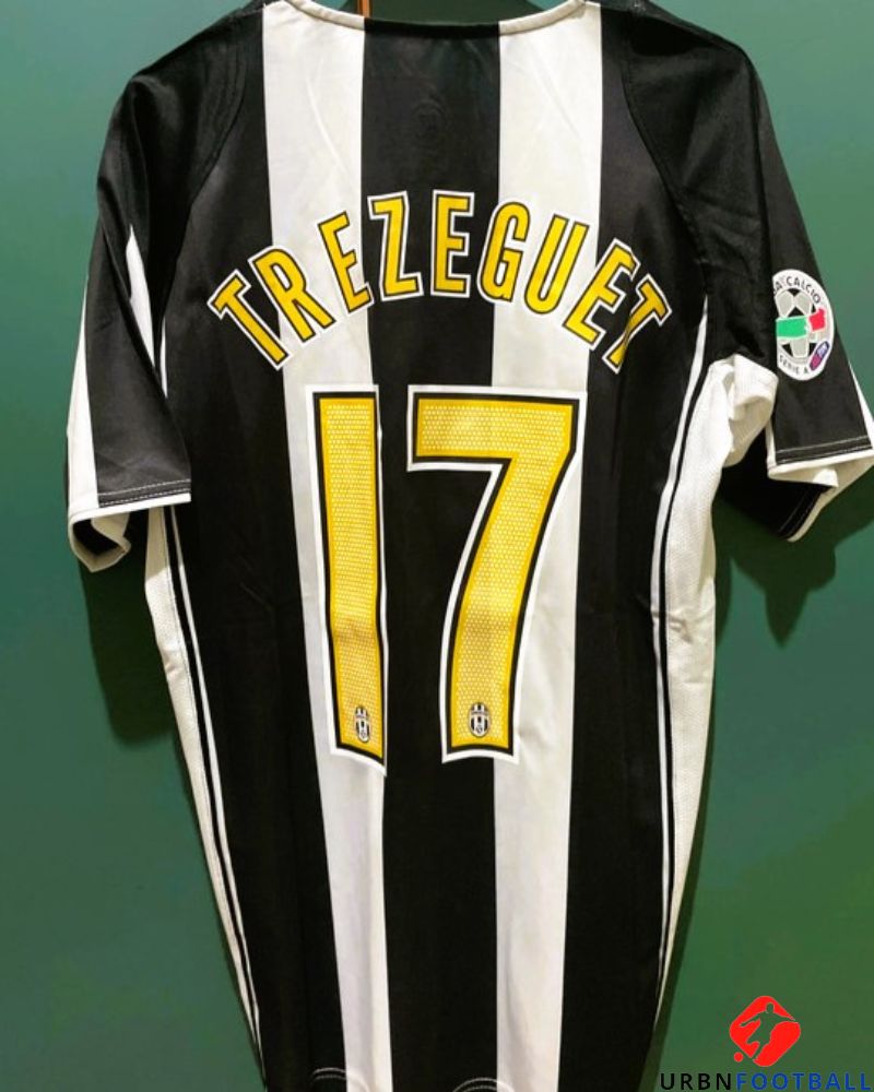 TREZEGUET DAVID 2004-05 (Juv)