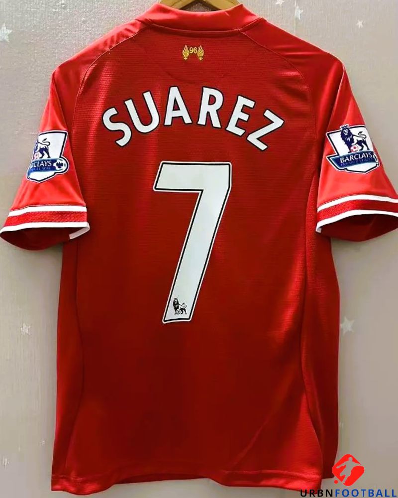 SUAREZ LUIS 2013-14 (Stufe)