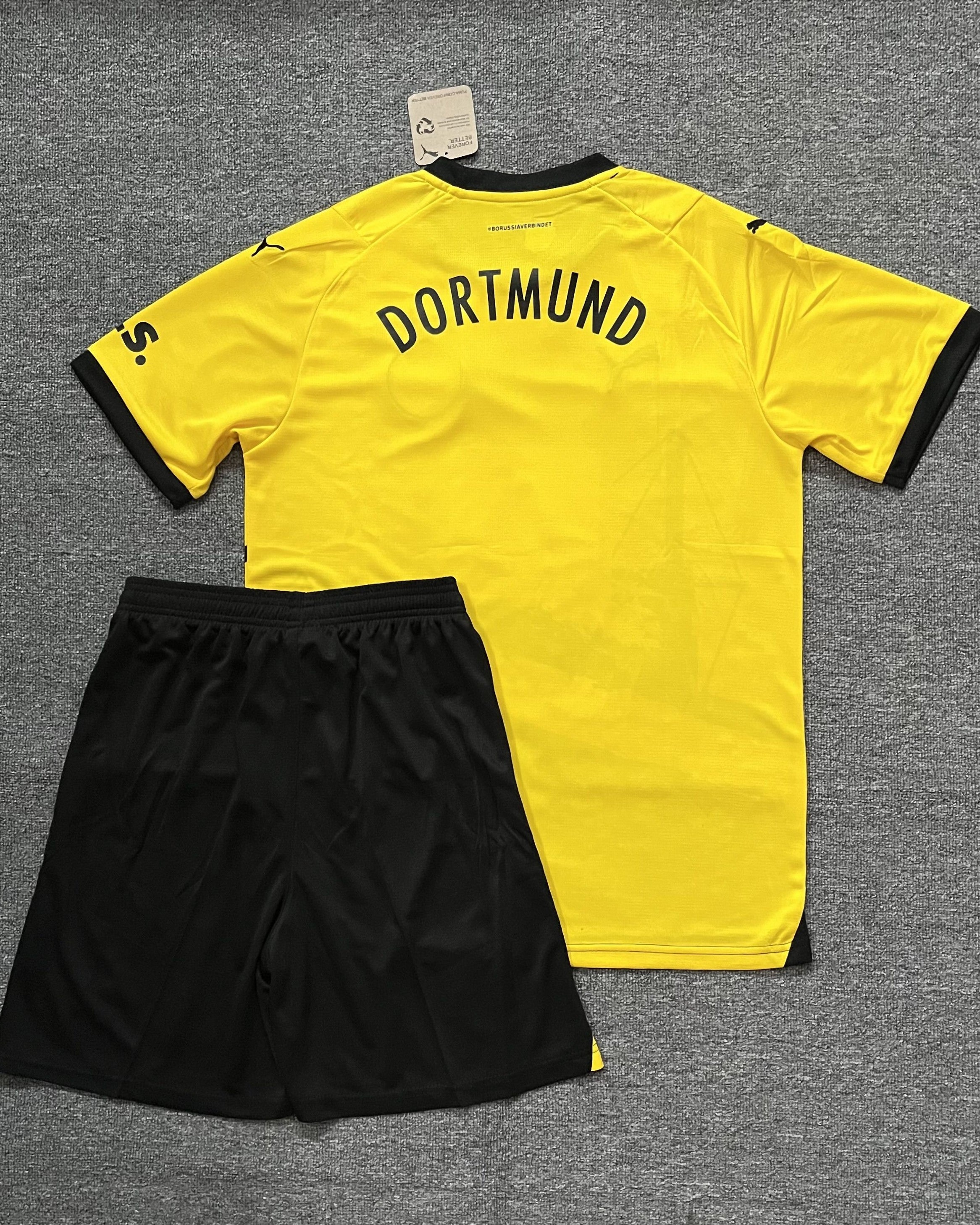 BORUSSIA DORTMUND Adult Kit